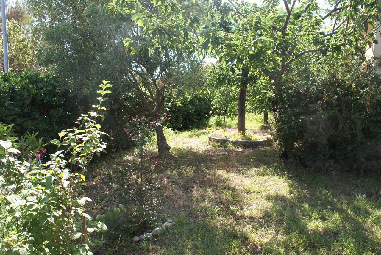 Apartment Ana M Krk Town Kültér fotó
